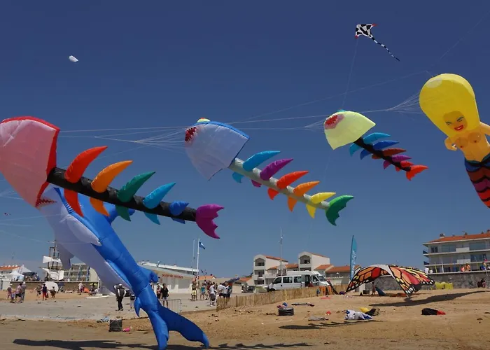 A Notre-dame-de-monts, 43m², 6 Pers, Animaux Admis - Fr-1-540-240