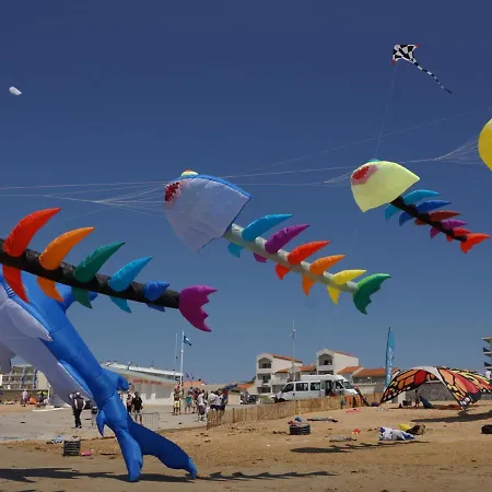 - 2 Ch. Vue Ocean, 6 Pers., Animaux Admis, Parking - Fr-1-540-240